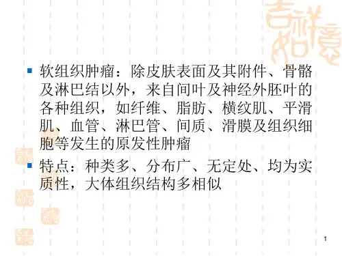 软组织肿瘤彩超表现PPT课件