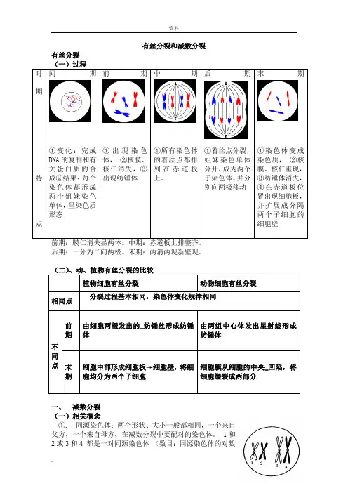 高中生物必修二减数分裂详尽分析