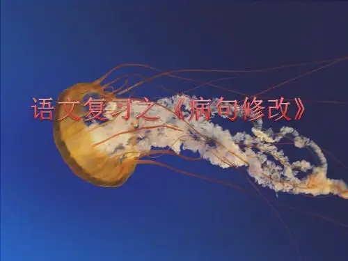 初三语文复习之病句修改ppt课件全面版