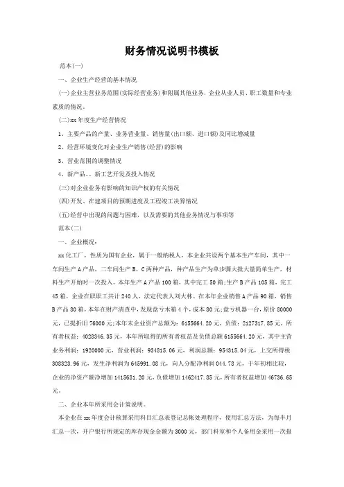 财务情况说明书模板