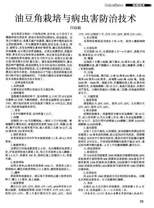油豆角栽培与病虫害防治技术