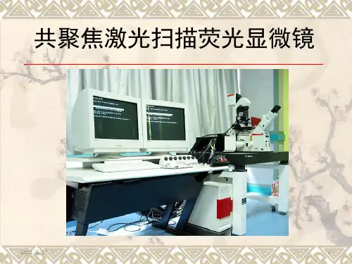 共聚焦激光扫描荧光显微镜 简介以及原理
