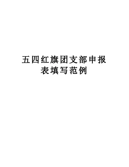 五四红旗团支部申报表填写范例教案资料