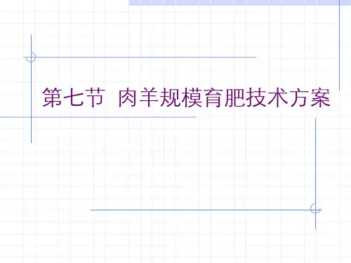 第七节  肉羊规模育肥技术方案