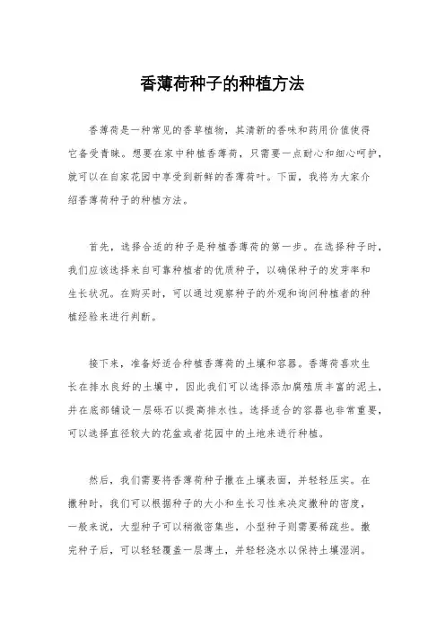 香薄荷种子的种植方法
