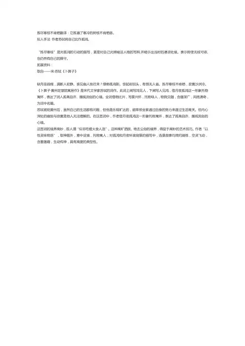 拣尽寒枝不肯栖的寓意