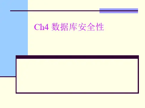 计算机安全性概述安全性控制