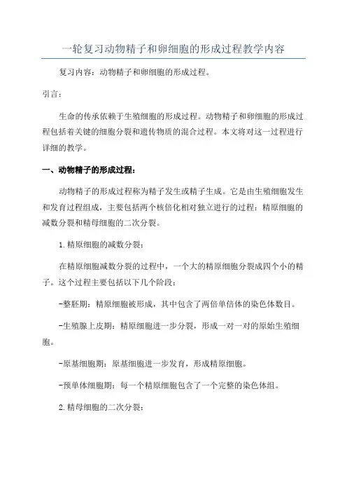 一轮复习动物精子和卵细胞的形成过程教学内容