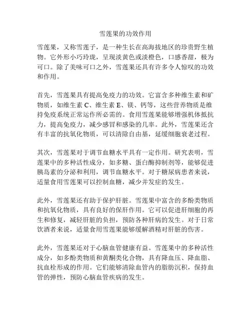 雪莲果的功效作用