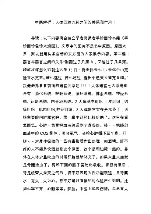 中医解析：人体五脏六腑之间的关系和作用!