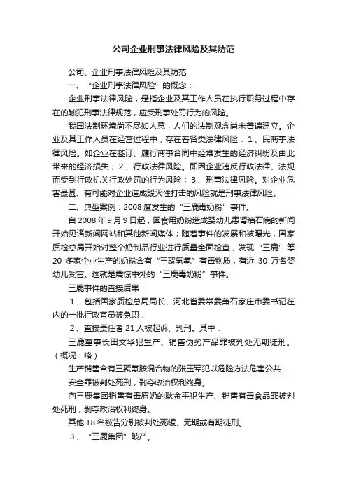 公司企业刑事法律风险及其防范