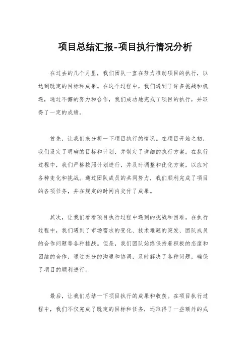 项目总结汇报-项目执行情况分析