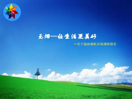 油烟机调查报告