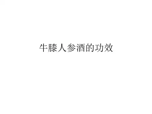 牛膝人参酒的功效
