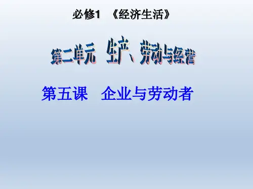 经济生活一轮复习第五课PPT课件