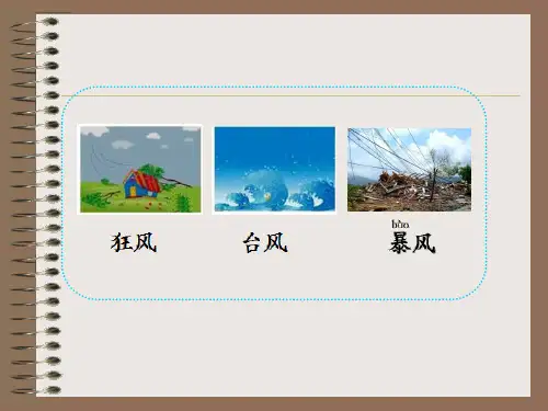 部编版二年级语文24《风娃娃》PPT