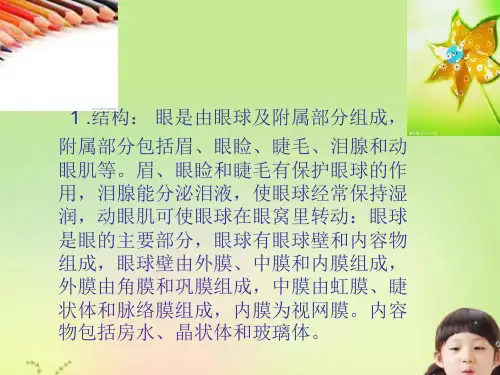 眼球的结构和功能