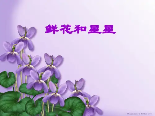 苏教版语文一年级下册：6.13 鲜花和星星 课件 (1)(共21张PPT)