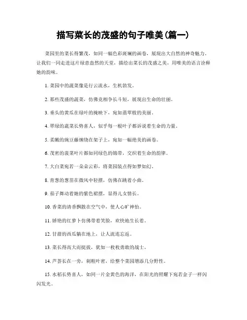 描写菜长的茂盛的句子唯美(精选两篇)