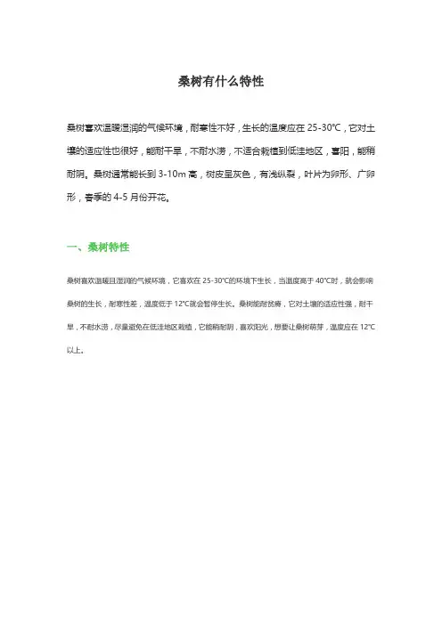 桑树形态特征