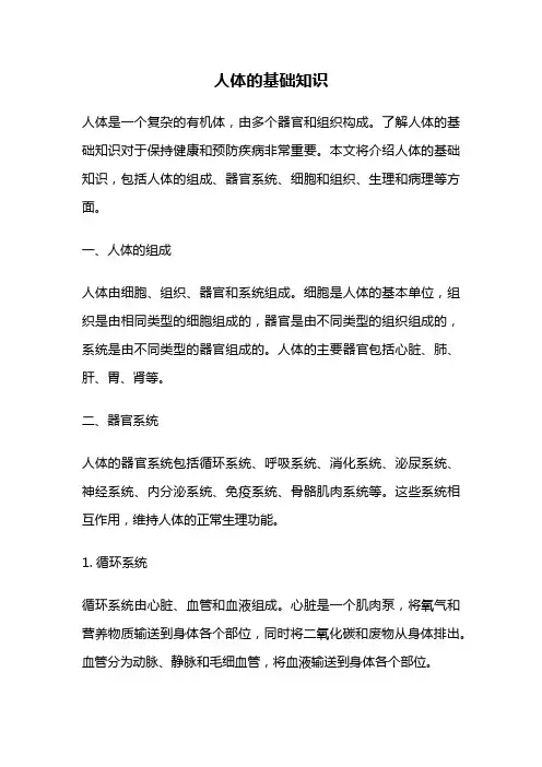 人体的基础知识