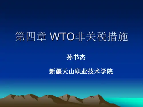 第4章_WTO非关税壁垒措施