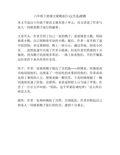 六年级下册课文骑鹅旅行记(节选)梗概