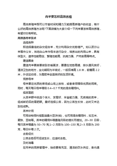 肉羊要怎样高效养殖