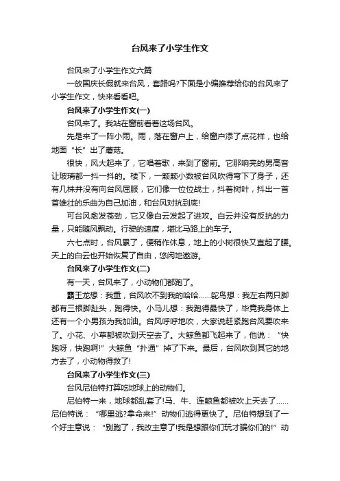 台风来了小学生作文六篇