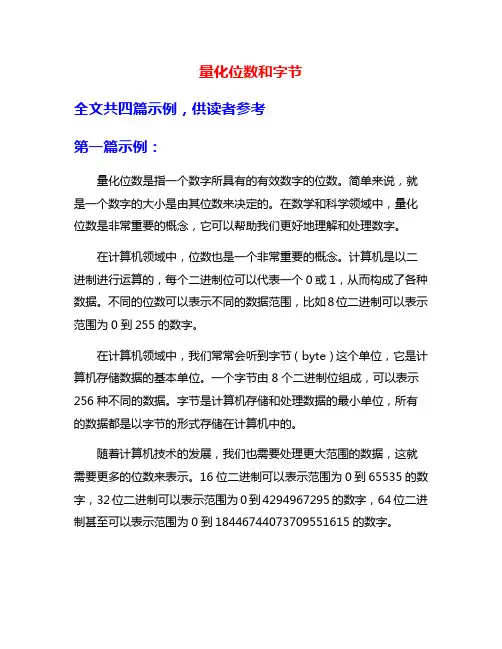 量化位数和字节