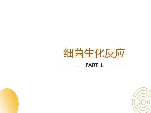 细菌的生化反应