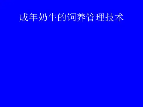 成年奶牛的饲养管理技术