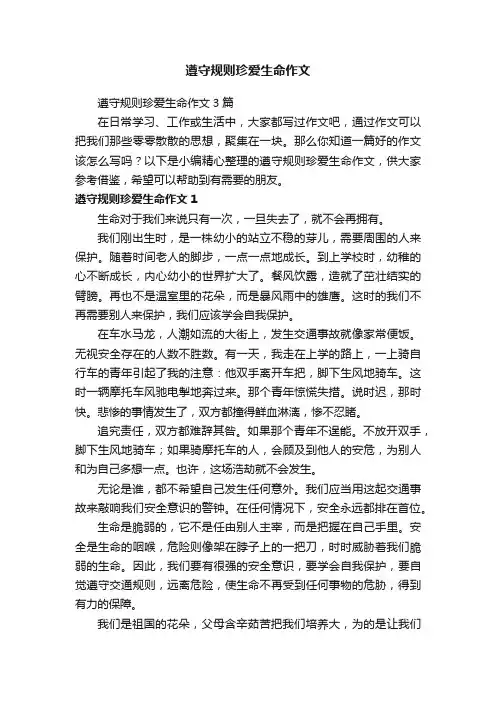 遵守规则珍爱生命作文