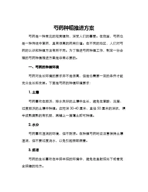 芍药种植推进方案