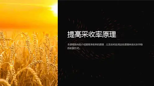 chapter6提高采收率原理ppt课件