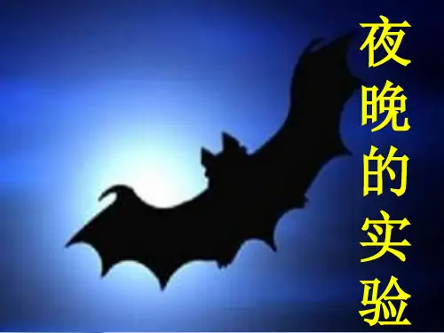 《夜晚的实验》PPt