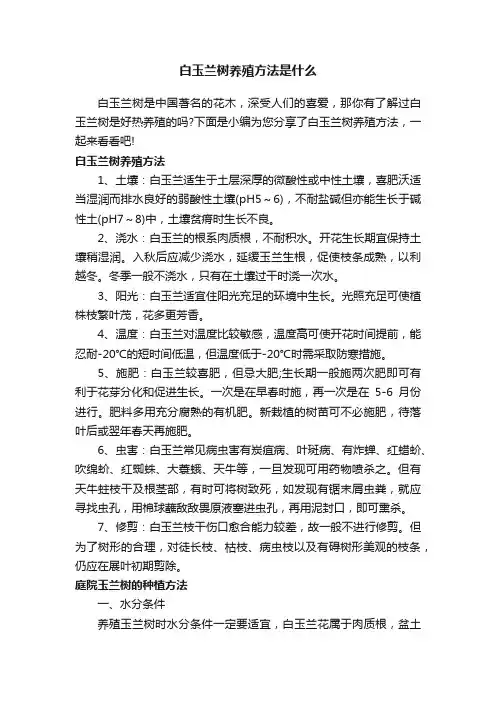 白玉兰树养殖方法是什么