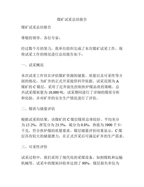 煤矿试采总结报告