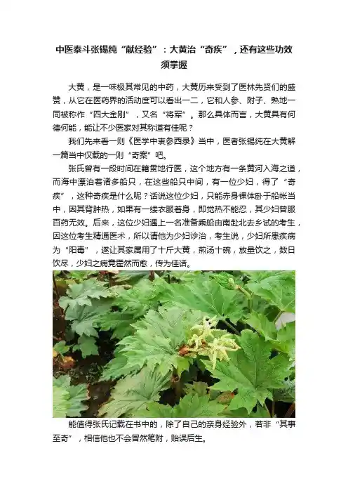 中医泰斗张锡纯“献经验”：大黄治“奇疾”，还有这些功效须掌握
