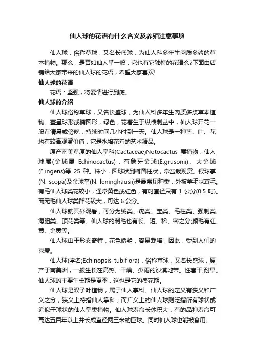 仙人球的花语有什么含义及养殖注意事项