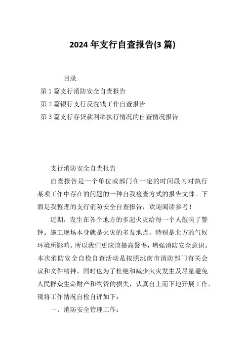 2024年支行自查报告(3篇)