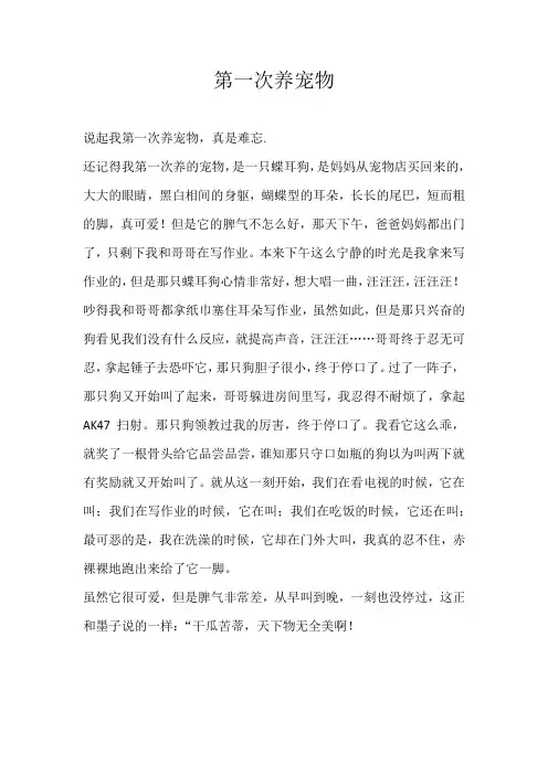 五年级叙事第一次养宠物