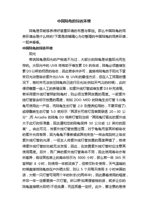 中国陆龟的饲养环境