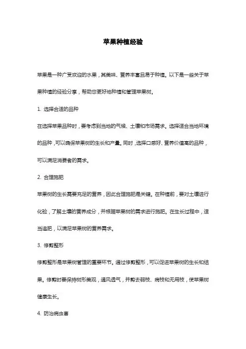 苹果种植经验