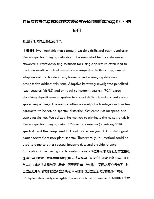 自适应拉曼光谱成像数据去噪及其在植物细胞壁光谱分析中的应用