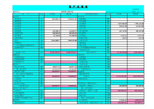 财务报表表格(电子版)