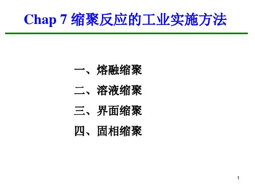 第七章 缩合聚合工艺20160410