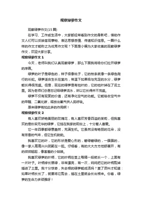 观察绿萝作文（15篇）