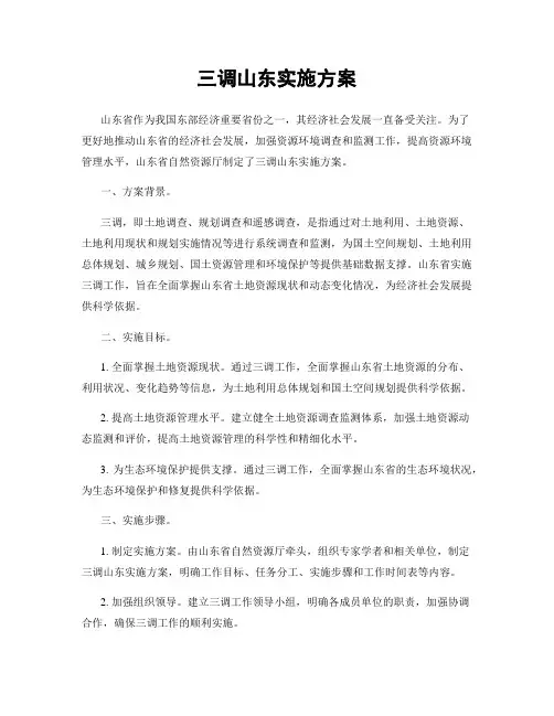 三调山东实施方案