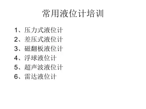 常用液位计培训.pptx